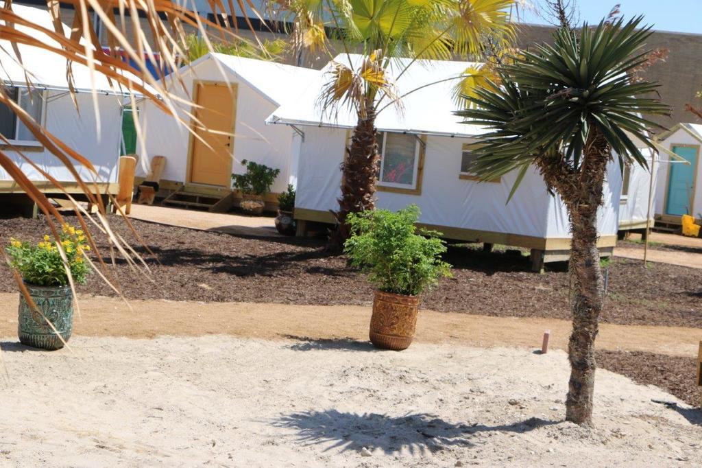 Camp Coyoacan Port Aransas Eksteriør billede